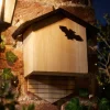 Abri chauve-souris