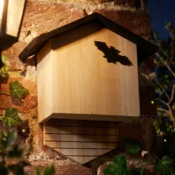 Abri chauve-souris