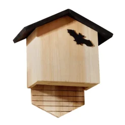Abri chauve-souris
