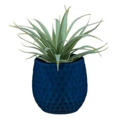 Aloe pot colore