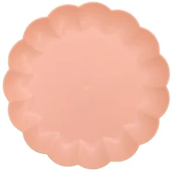 Assiette plastique iris d25.5cm