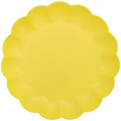 Assiette plastique iris d25.5cm