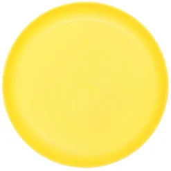 Assiette plastique strie 25cm