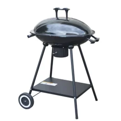 Barbecue a charbon ovale a couve
