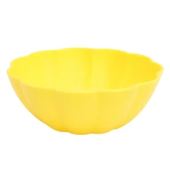 Bol plastique iris d14.5cm