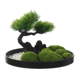 Bonsai sur plateau