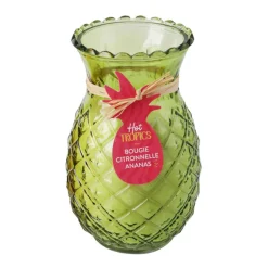 Bougie citronnelle ananas 2ass