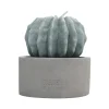 Bougie citronnelle forme cactus