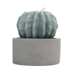 Bougie citronnelle forme cactus