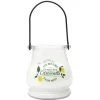 Bougie citronnelle led color cha