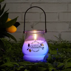 Bougie citronnelle led color cha