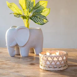 Bougie citronnelle pot en verre