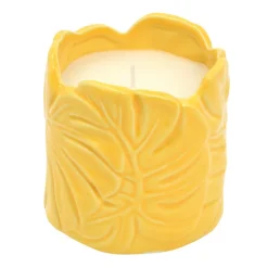 Bougie citronnelle pot palmes
