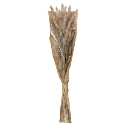 Bouquet lagurus