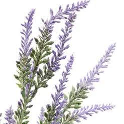 Bouquet lavande