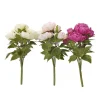 Bouquet pivoine
