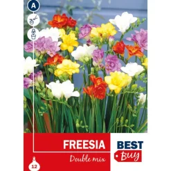 Bulbes fressia double mix