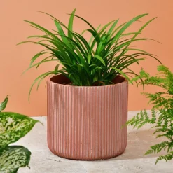 Cache pot cotele terracota