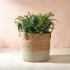 Cache pot panier naturel