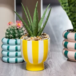 Cache pot raye