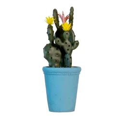 Cactus dans pot bleu