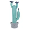 Cactus en pot grand format