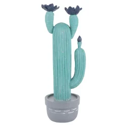 Cactus en pot grand format