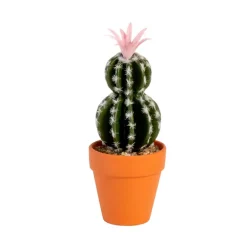 Cactus pot terracotta
