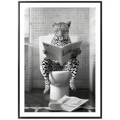 Cadre image animaux