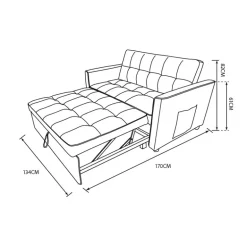 Canape convertible + 2 coussins