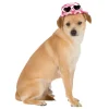 Chapeau avec lunettes de soleil