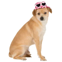 Chapeau avec lunettes de soleil