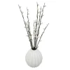 Chatons dans vase