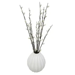 Chatons dans vase