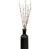 Chatons dans vase noir