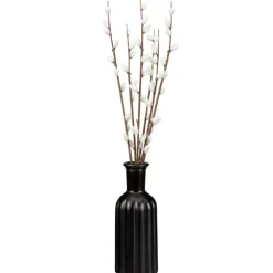 Chatons dans vase noir