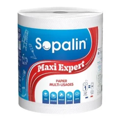 Essuie tout maxi expert