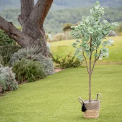 Eucalyptus artificiel 150cm