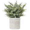 Eucalyptus artificiel en pot