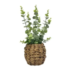 Eucalyptus pot tresse h40cm