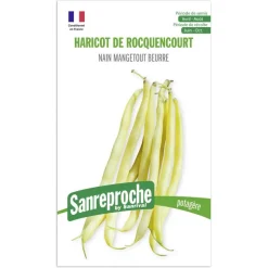 Graines haricot beurre
