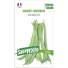 Graines haricot vert