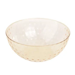 Grand bol plastique transparent