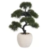Grand bonsai