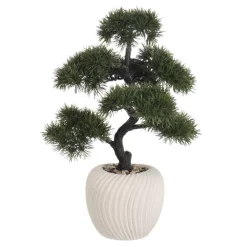 Grand bonsai