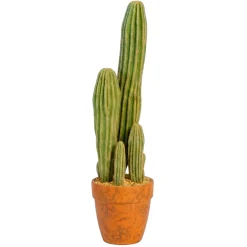 Grand cactus dans pot h66cm