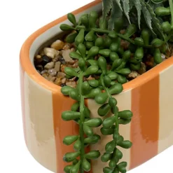 Jardiniere dans pot raye