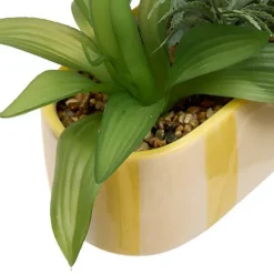 Jardiniere dans pot raye