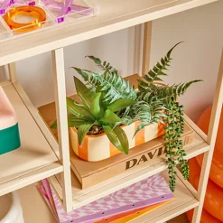 Jardiniere dans pot raye