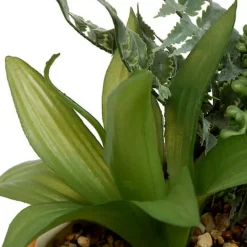 Jardiniere dans pot raye